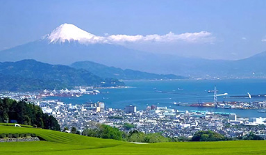 富士山と静岡市の街並みの写真